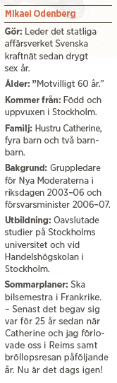 Mikael Odenberg Neo nr 3 2014 Bagdad Bob Anders Borg Fredrik Reinfeldt försvar värnplikt Nato budget bakgrund