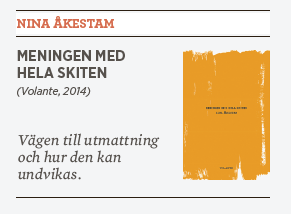 Linda Skugge recension Nina Åkestam Meningen med hela skiten Neo nr 3 2014