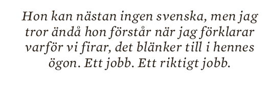 Jens Liljestrand essä 10 000 F-skatt skitliv prekariatet Neo nr 1 2013 citat6