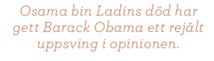Ann-Sofie Dahl USA eller kaos Barack Obama Neo nr 5 2011 citat3