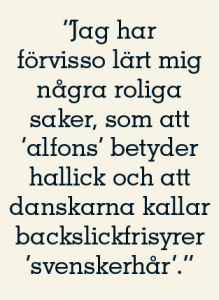 Kristian Hultqvist recension Mikael Jalving Absolut Sverige Neo nr 2 2011 citat2