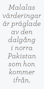 Hanna Lager recension Malala Yousafzai & Christina  Lamb Jag är Malala Neo nr 1 2014 citat