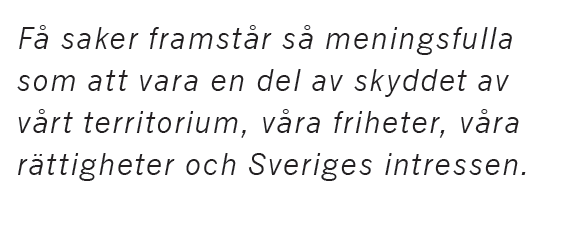 Neo nr 2 2015 Sara Norrevik Fredrik Reinfeldt Mikael Odenberg Peter Hultqvist ÖB Nato försvar Hur tänkte vi? citat3